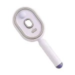 Electric Nano Mist Hair Brush | Rechargeable Spray Comb